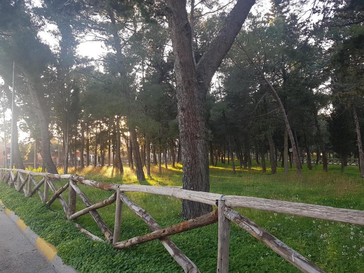 B&B La Pineta Quasani Zewnętrze zdjęcie