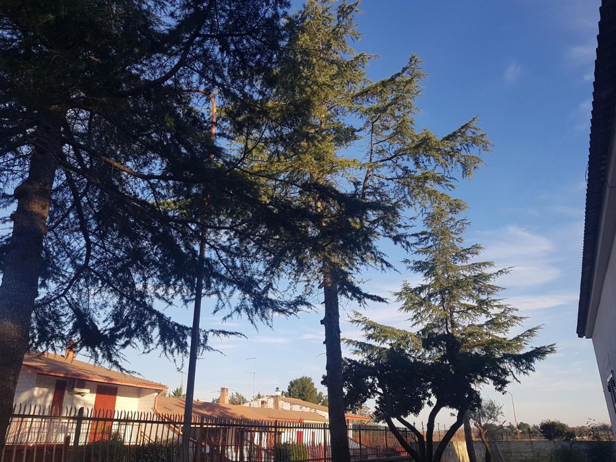B&B La Pineta Quasani Zewnętrze zdjęcie